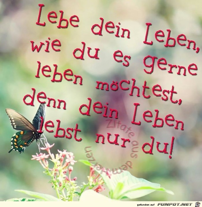 dein Leben