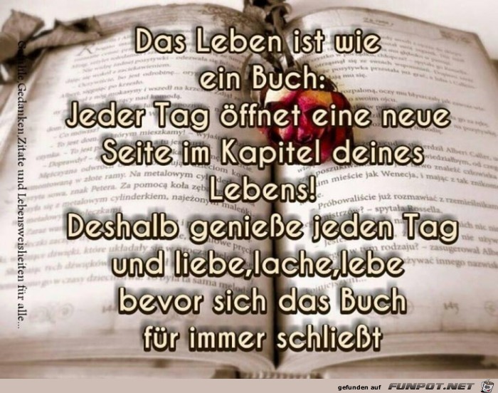 Das Leben Das Leben