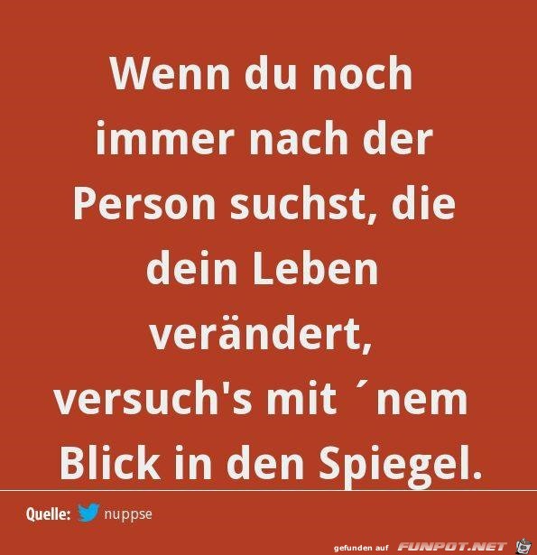 spiegel spiegel