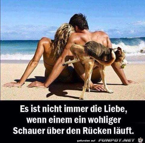 es ist nicht immer liebe