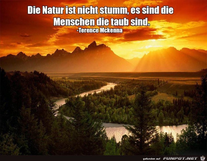 Die Natur