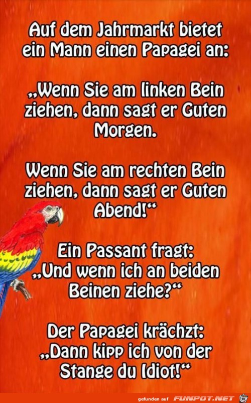 klasse Sprche und Witze!