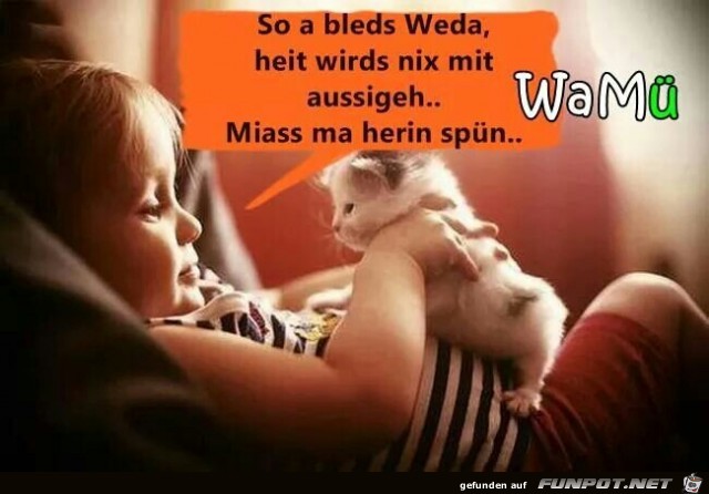 bleds Weda