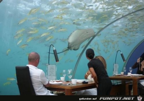 Das weltweit erste All-Glas Unterwasser Restaurant...