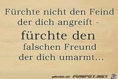 Frchte nicht den Feind...