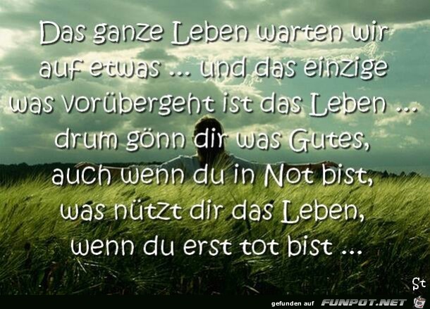 das ganze Leben das ganze Leben