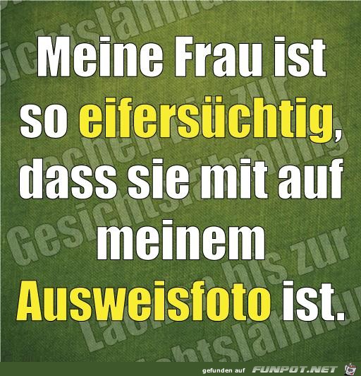 foto foto