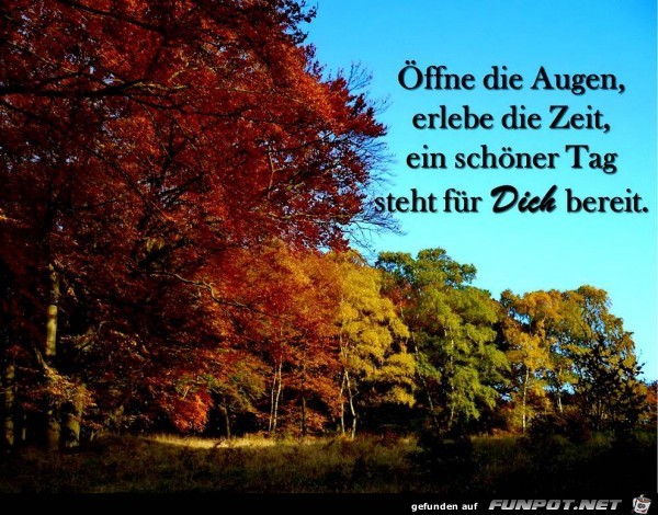 oeffne die augen oeffne die augen