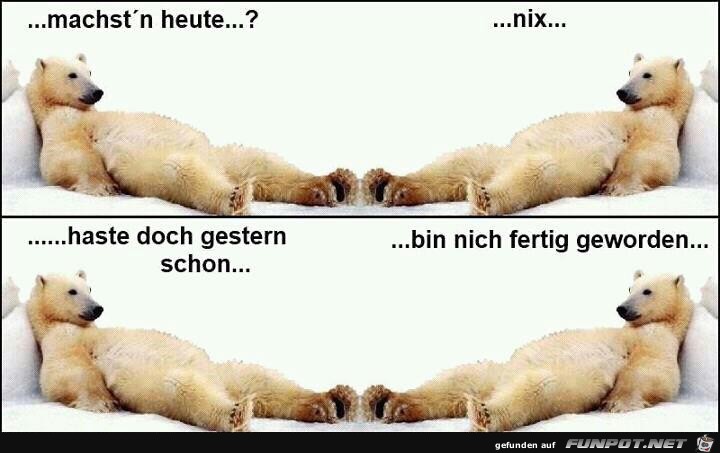 suesses Nichtstun suesses Nichtstun