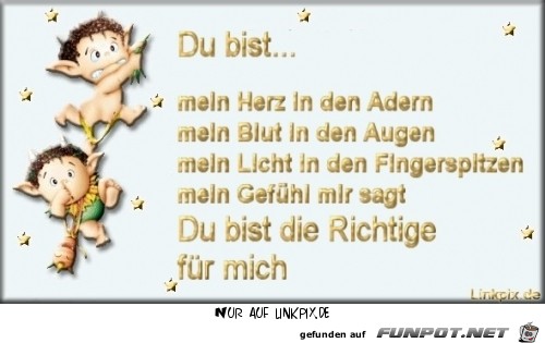 du bist du bist
