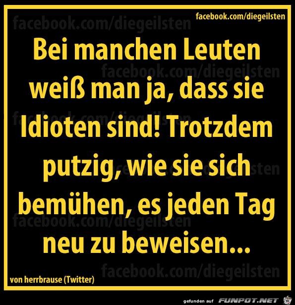 diegeilsten Idioten diegeilsten Idioten