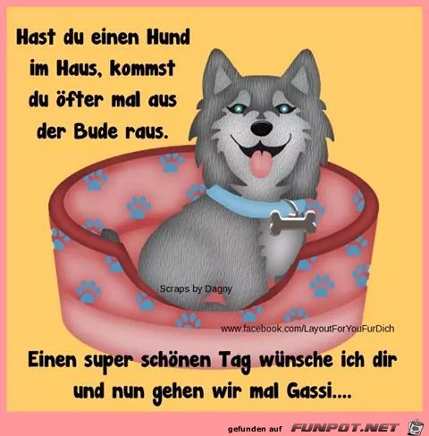 Hund Hund