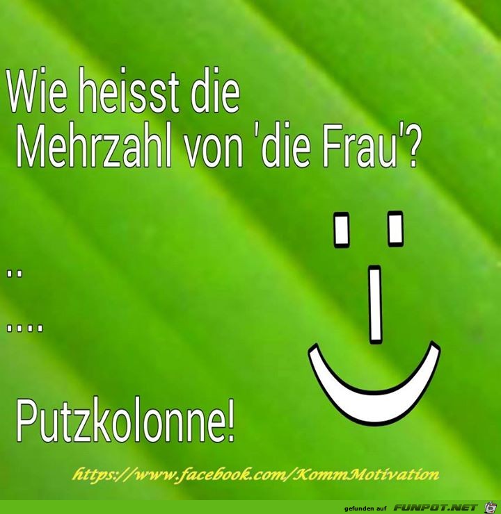 Mehrzahl von Frau