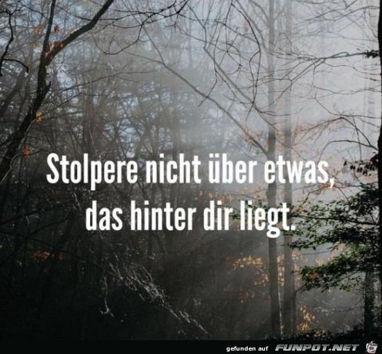 stolpere-nicht-