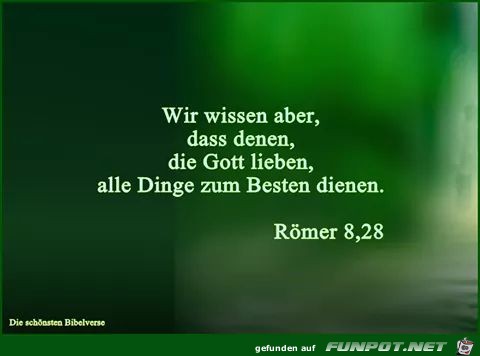 Roemer 8 28