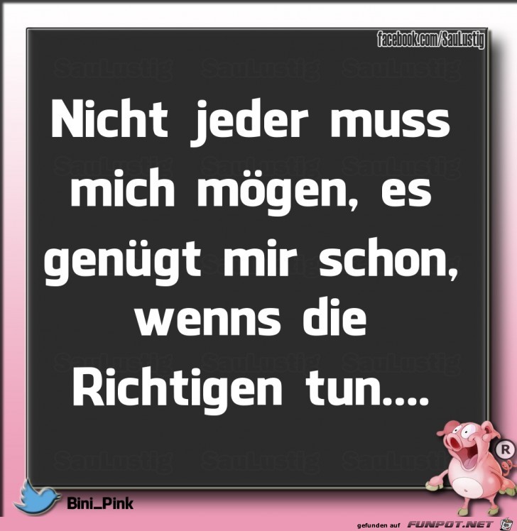 Nicht jeder muss mich moegen