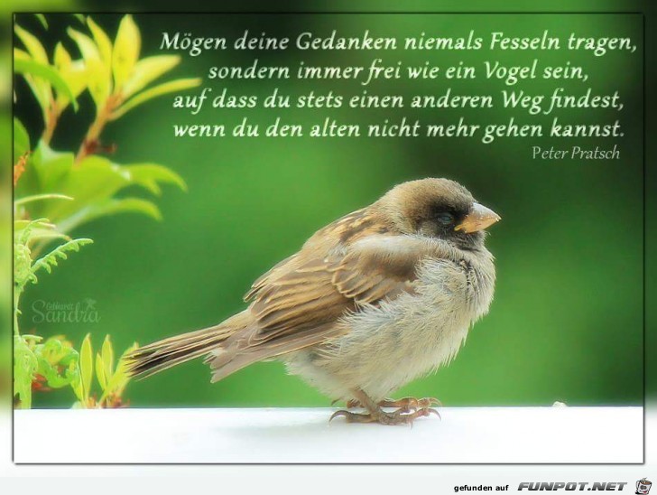moegen deine Gedanken moegen deine Gedanken