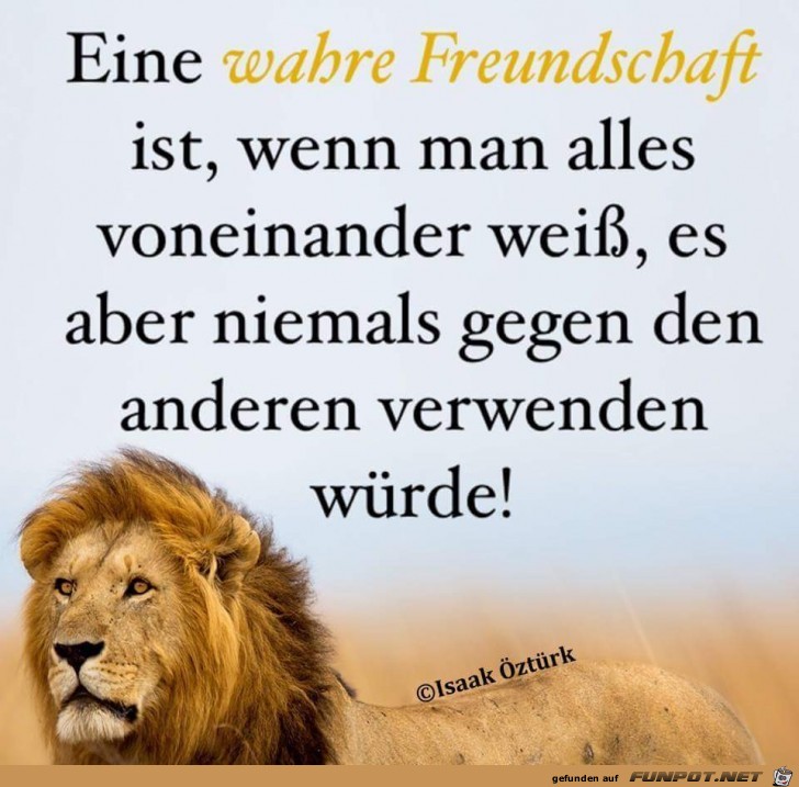 wahre Freundschaft