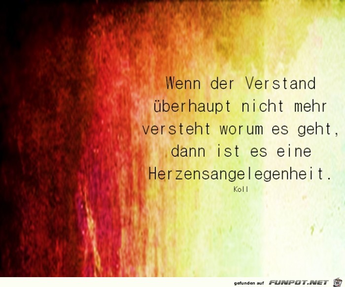herzensangelegenjhz herzensangelegenjhz