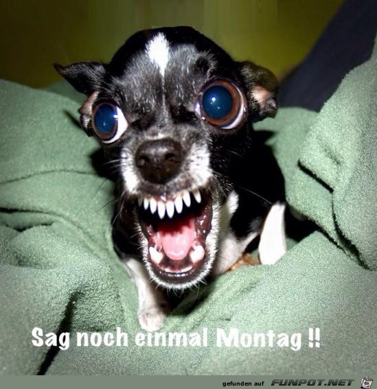 Montag