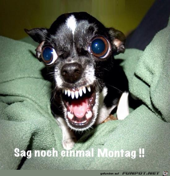 Montag Montag