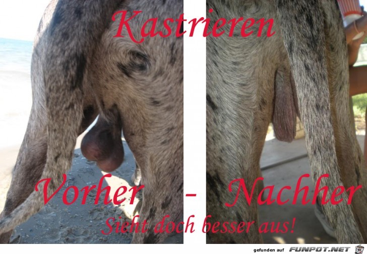 Unbenannt-1 Unbenannt-1