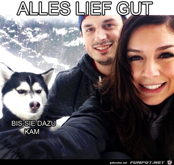 Alles lief gut Alles lief gut