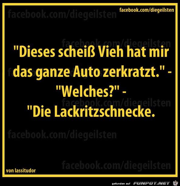 diegeilsten Lackritzschnecke diegeilsten Lackritzschnecke