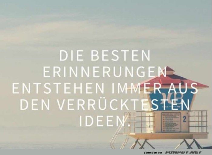 10 sch�ne Spr�che und Lebensweisheiten aus...