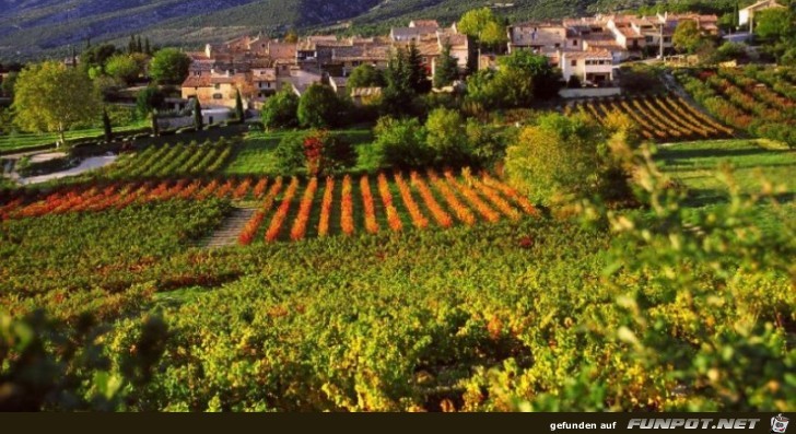 Die schoensten Wein-Gegenden der Welt 38 Die schoensten Wein-Gegenden der Welt 38