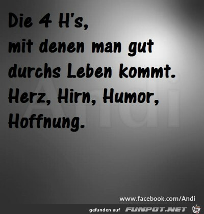 4 hs 4 hs