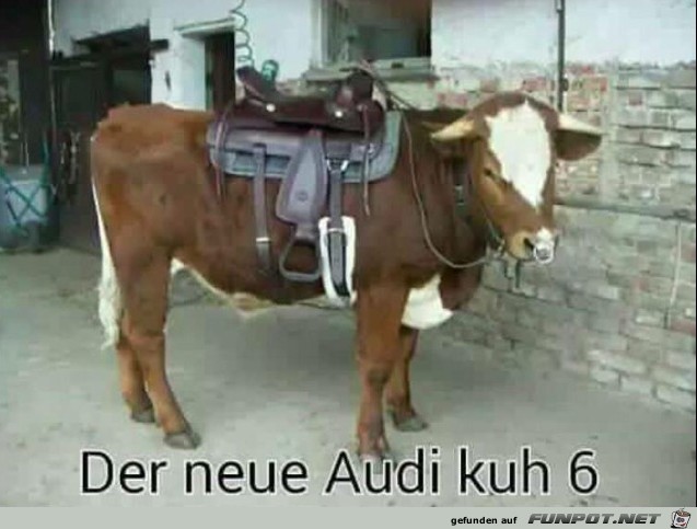 Der neue Audi