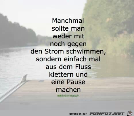 Manchmal sollte man weder mit noch... Manchmal sollte man weder mit noch...