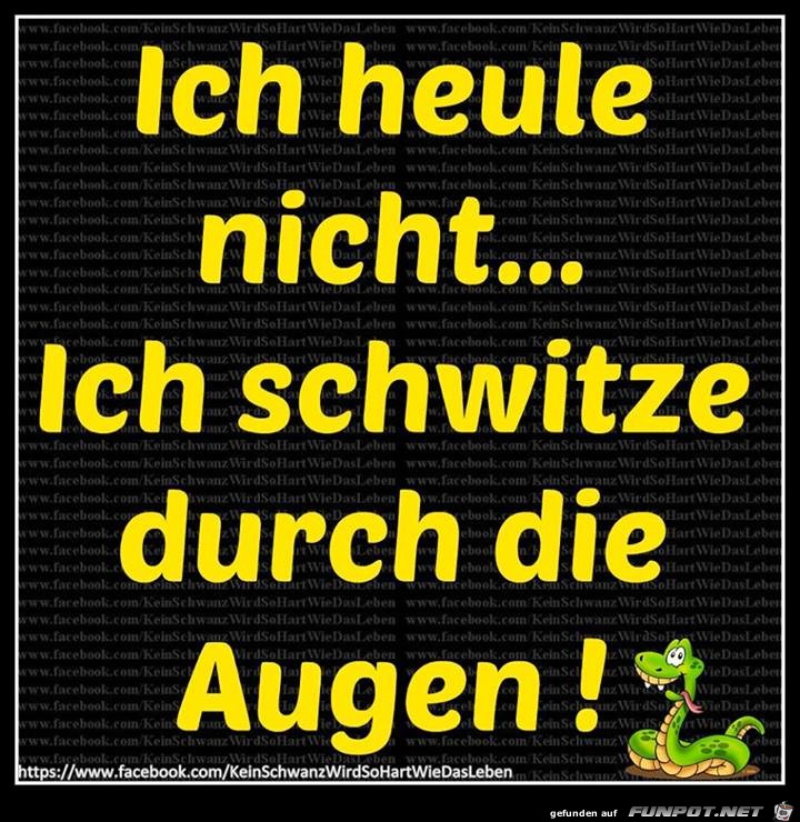 Ich heule nicht Ich heule nicht