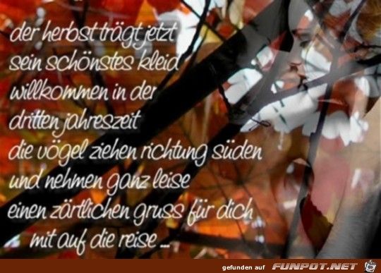 der Herbst traegt jetzt sein schoenstes Kleid der Herbst traegt jetzt sein schoenstes Kleid