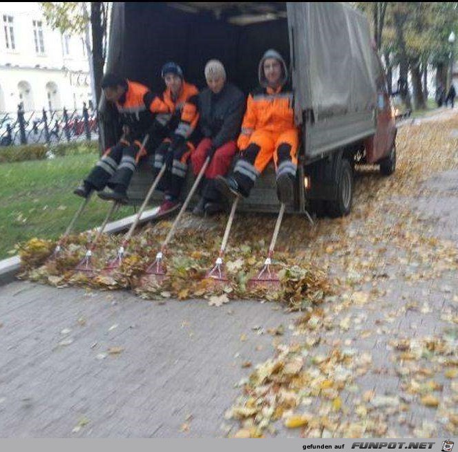 clever clever