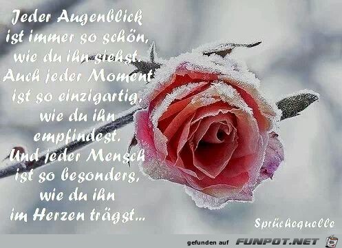 jeder augenblick ist immer so schoen jeder augenblick ist immer so schoen