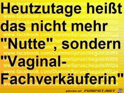 witzige Bilder aus verschiedenen Blogs