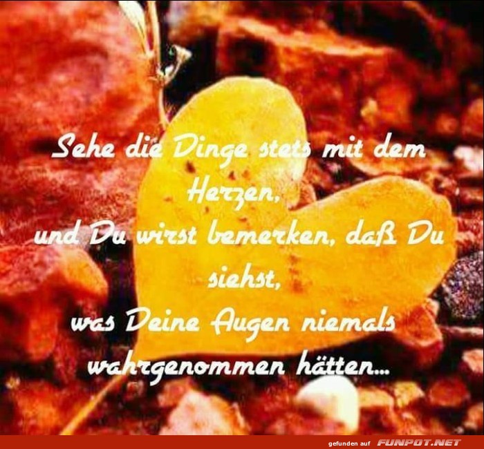 Dinge Dinge