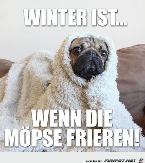 Winter ist Winter ist