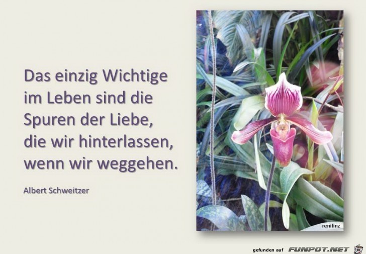 das einzig Wichtige im Leben das einzig Wichtige im Leben