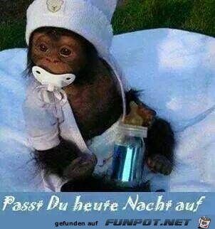 aufpassen aufpassen