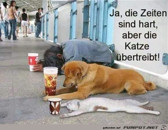 ja die Zeiten sind hart ja die Zeiten sind hart