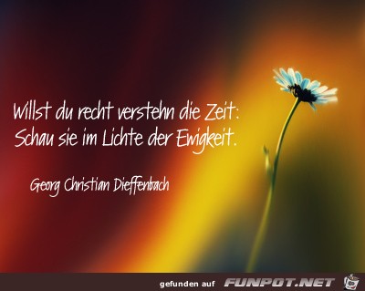 die zeit die zeit