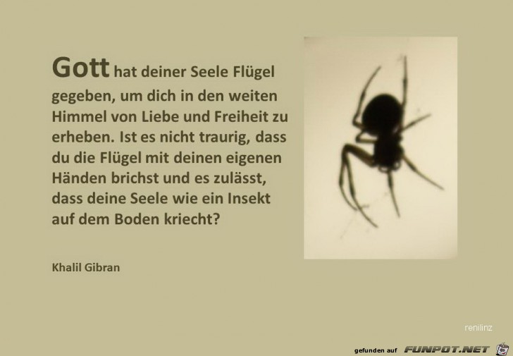 Gott hat Gott hat