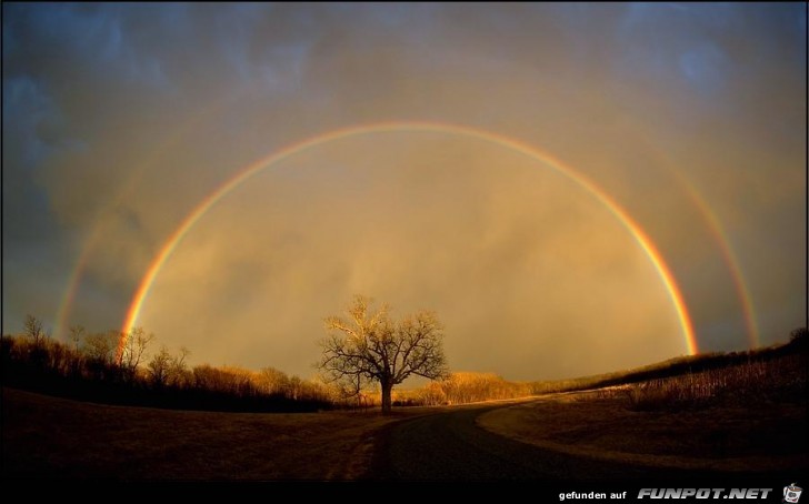 rainbow elam 2 rainbow elam 2