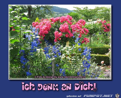 blumengruesse11 blumengruesse11