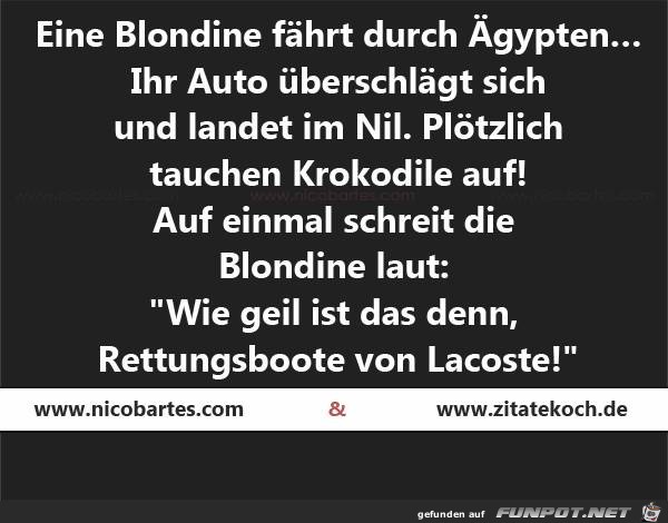 Eine Blondine... Eine Blondine...
