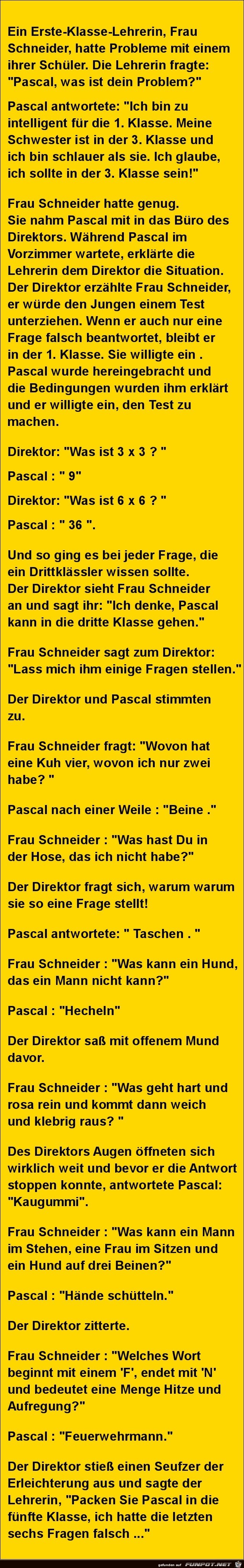 Frau Schneider hat ein Problem