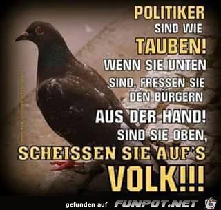 Politiker Politiker